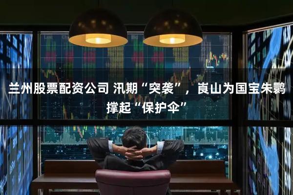 兰州股票配资公司 汛期“突袭”，崀山为国宝朱鹮撑起“保护伞”