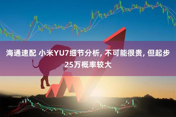 海通速配 小米YU7细节分析, 不可能很贵, 但起步25万概率较大