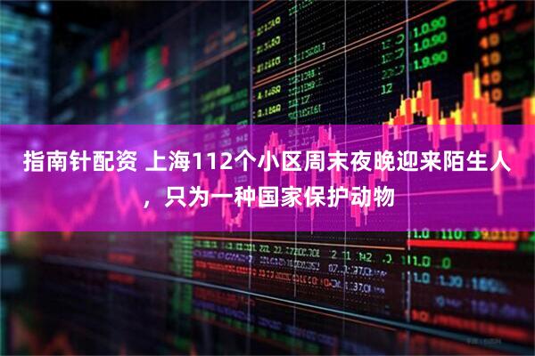 指南针配资 上海112个小区周末夜晚迎来陌生人，只为一种国家保护动物