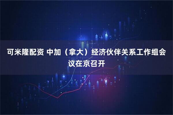 可米隆配资 中加（拿大）经济伙伴关系工作组会议在京召开